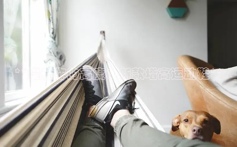 乐玩lehu唯一官网雷柏科技**提升你的高度：新款增高运动鞋**