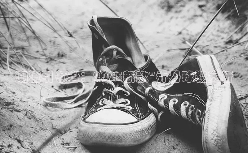 潮流引领者：2025新款\