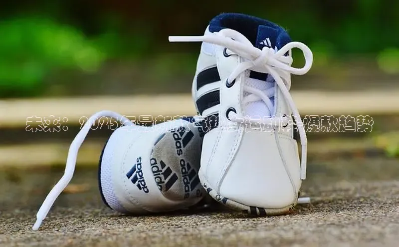 未来：2025年最新款气垫女运动鞋-爆款趋势